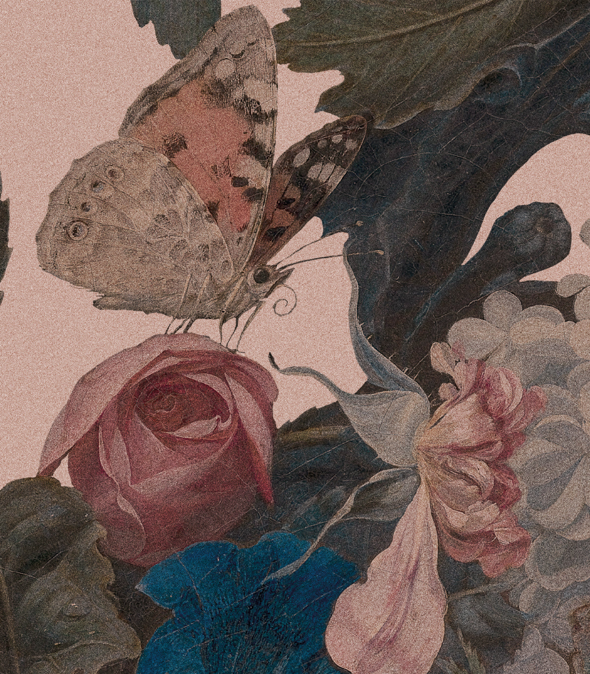 Tapeta Dragonfly Garden Pink