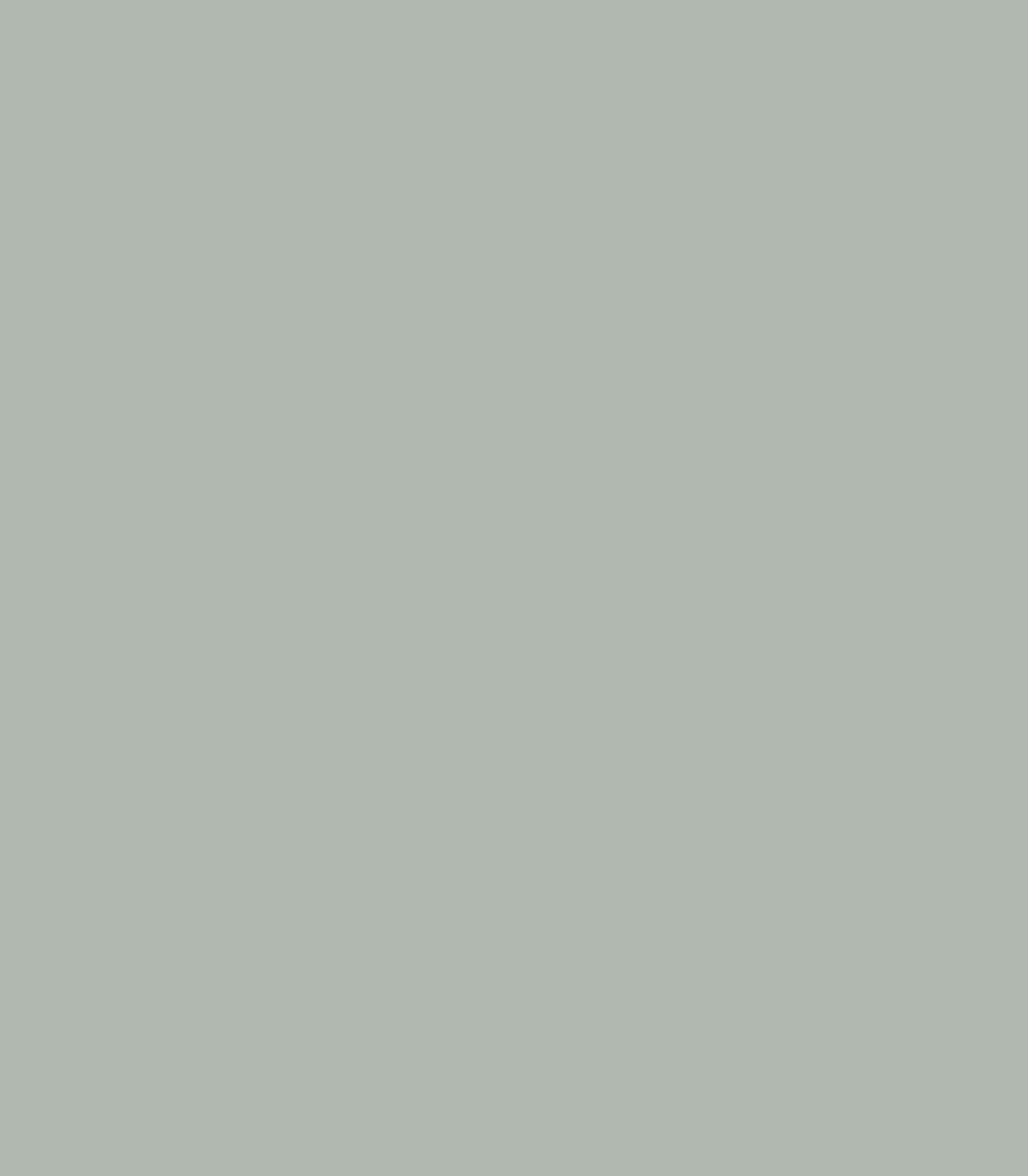 Misted Green 2138 - 50 - Wallcolors®