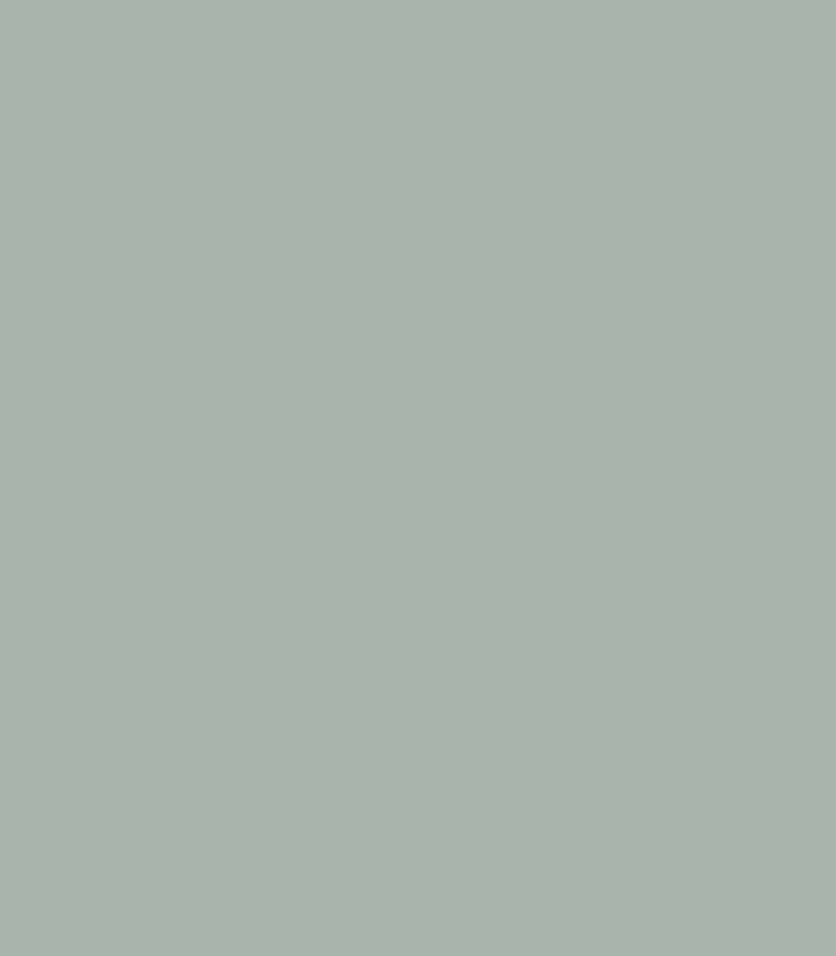 Raindance 1572 - Wallcolors®