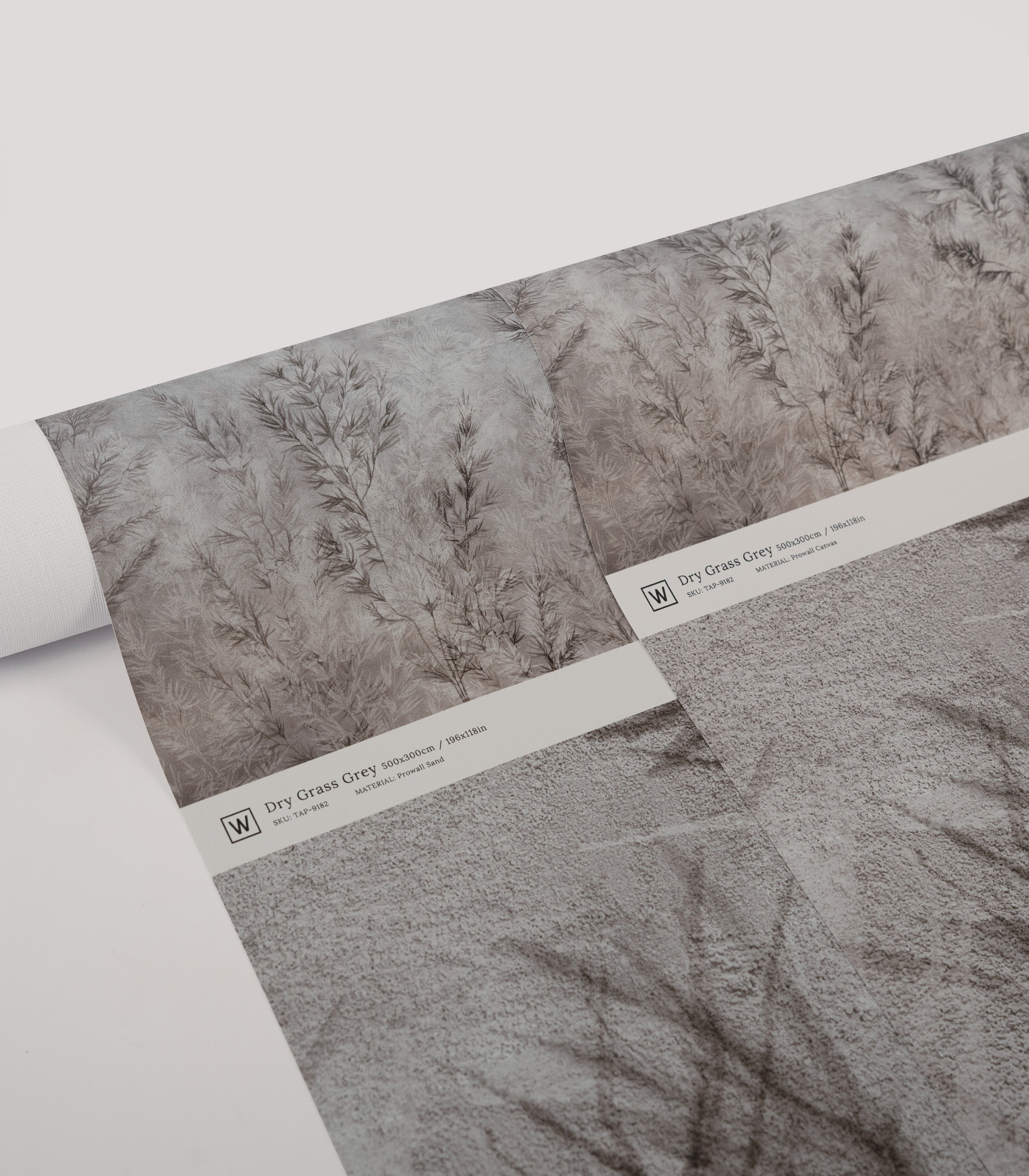 Tapeta Dry grass grey