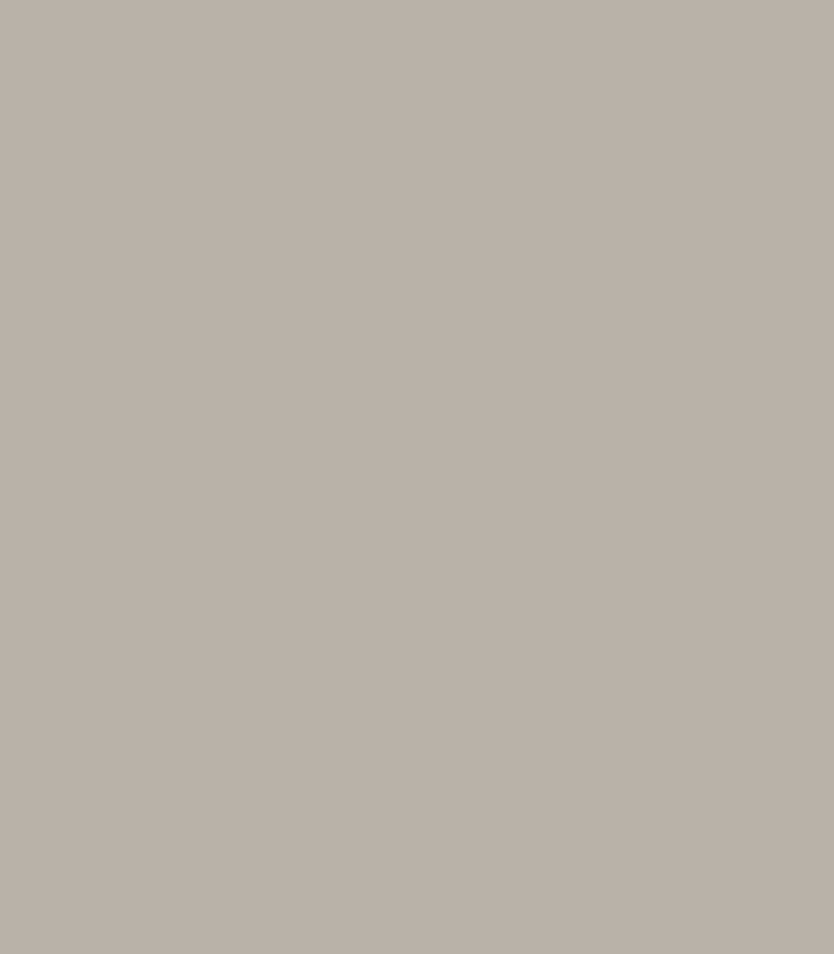 Silver Fox 2108 - 50 - Wallcolors®