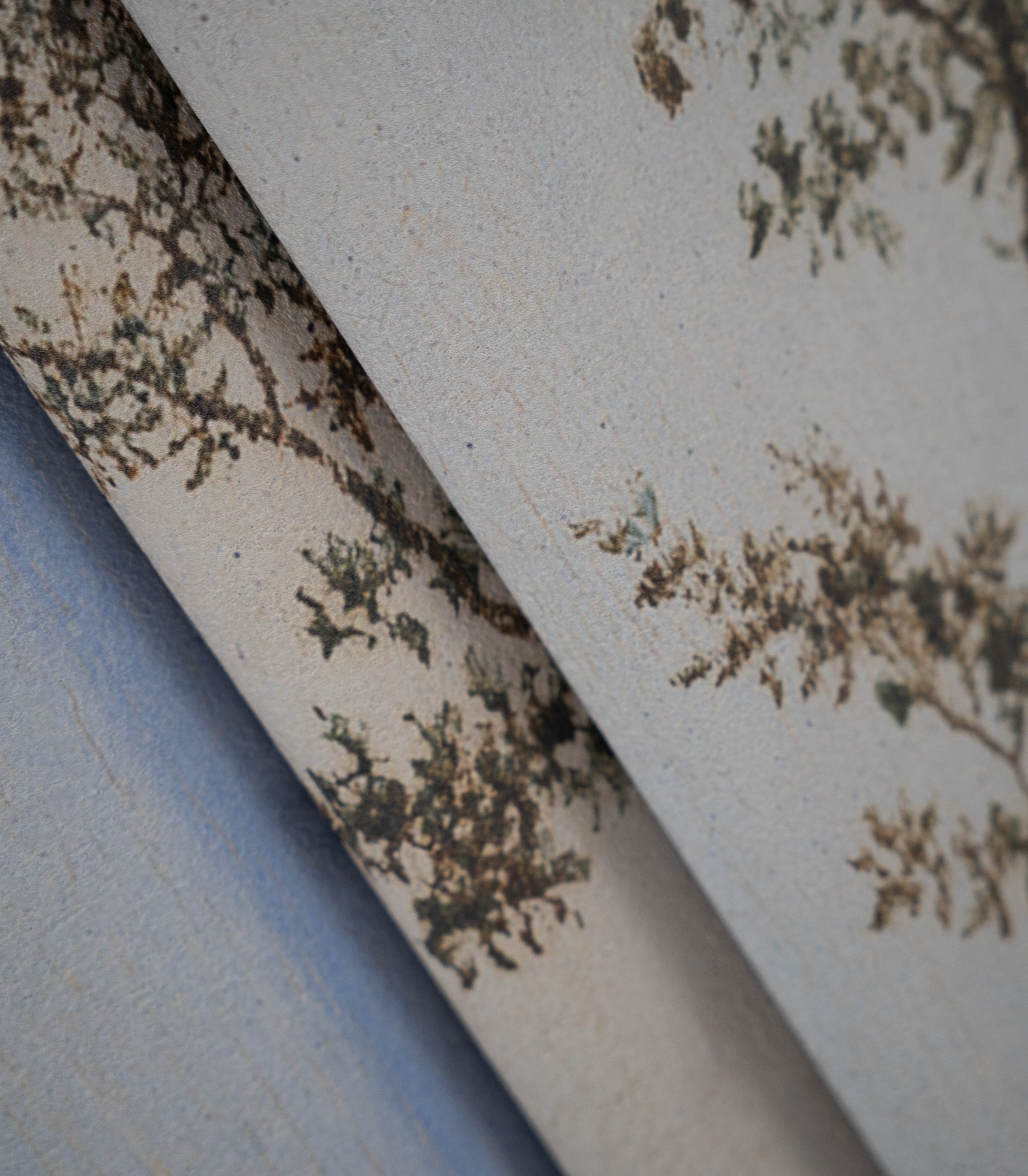 Tapeta Evening Grove