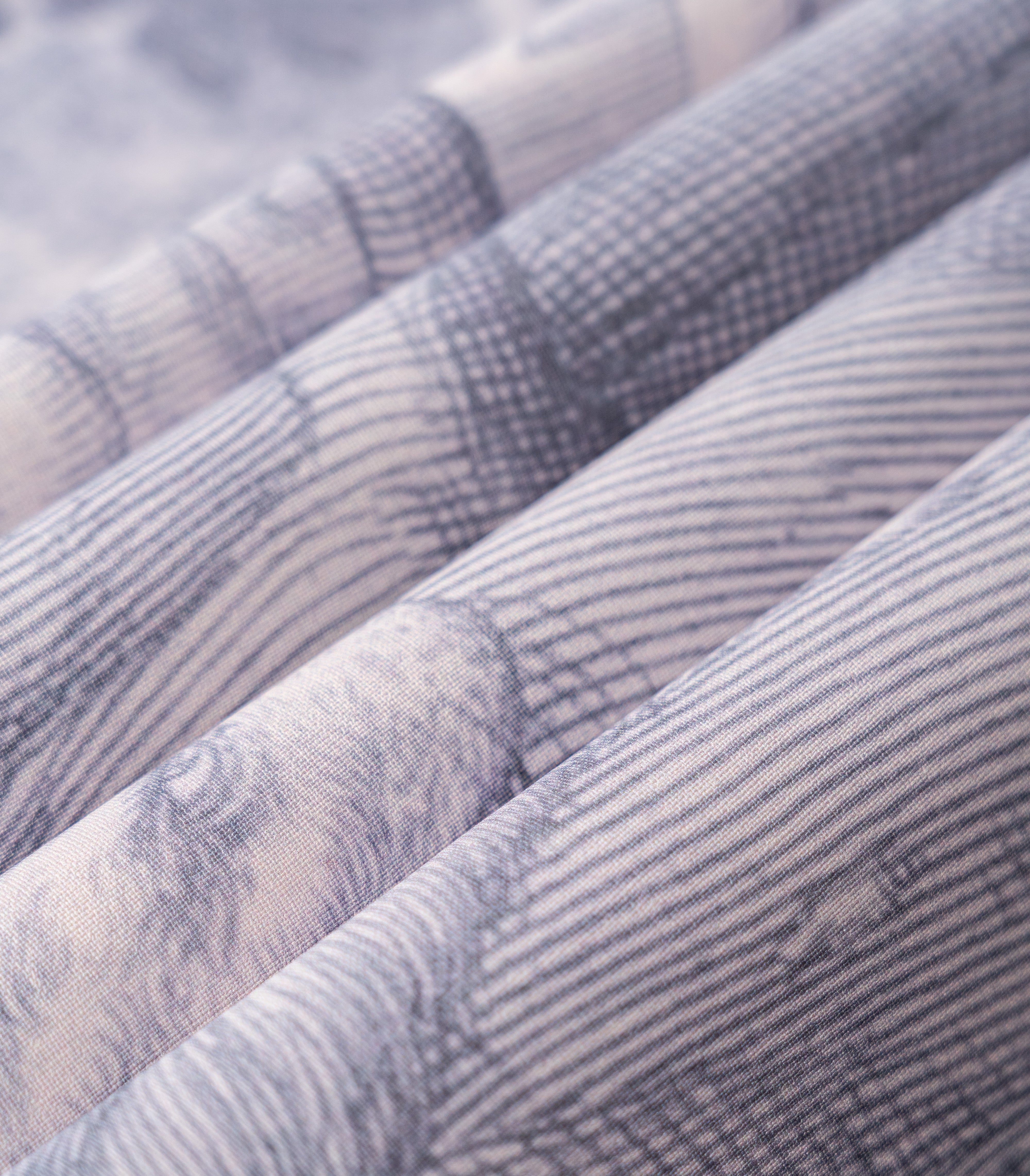 Tapeta Timeless Trees Blue