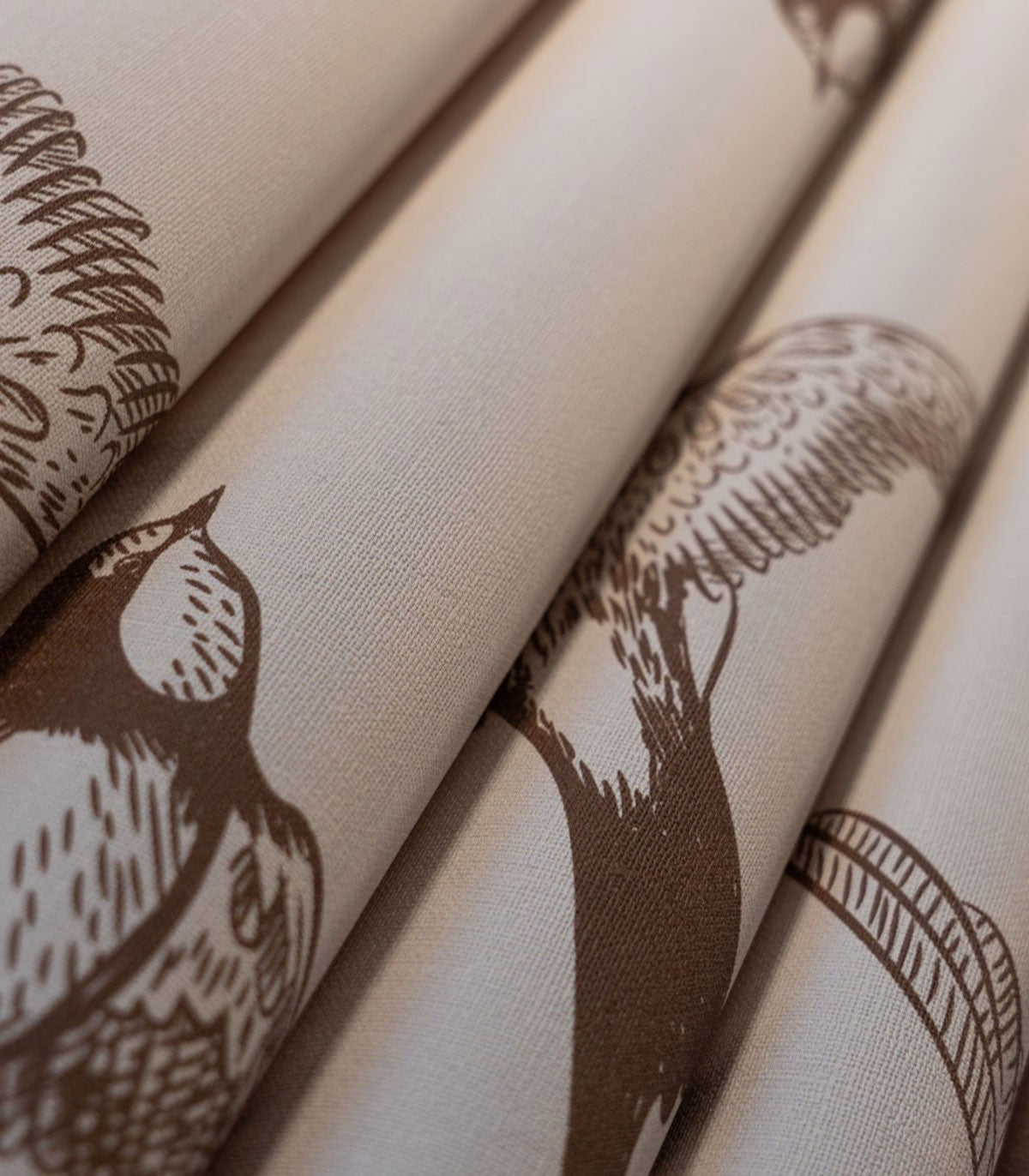 Brown Swallow Wallpaper