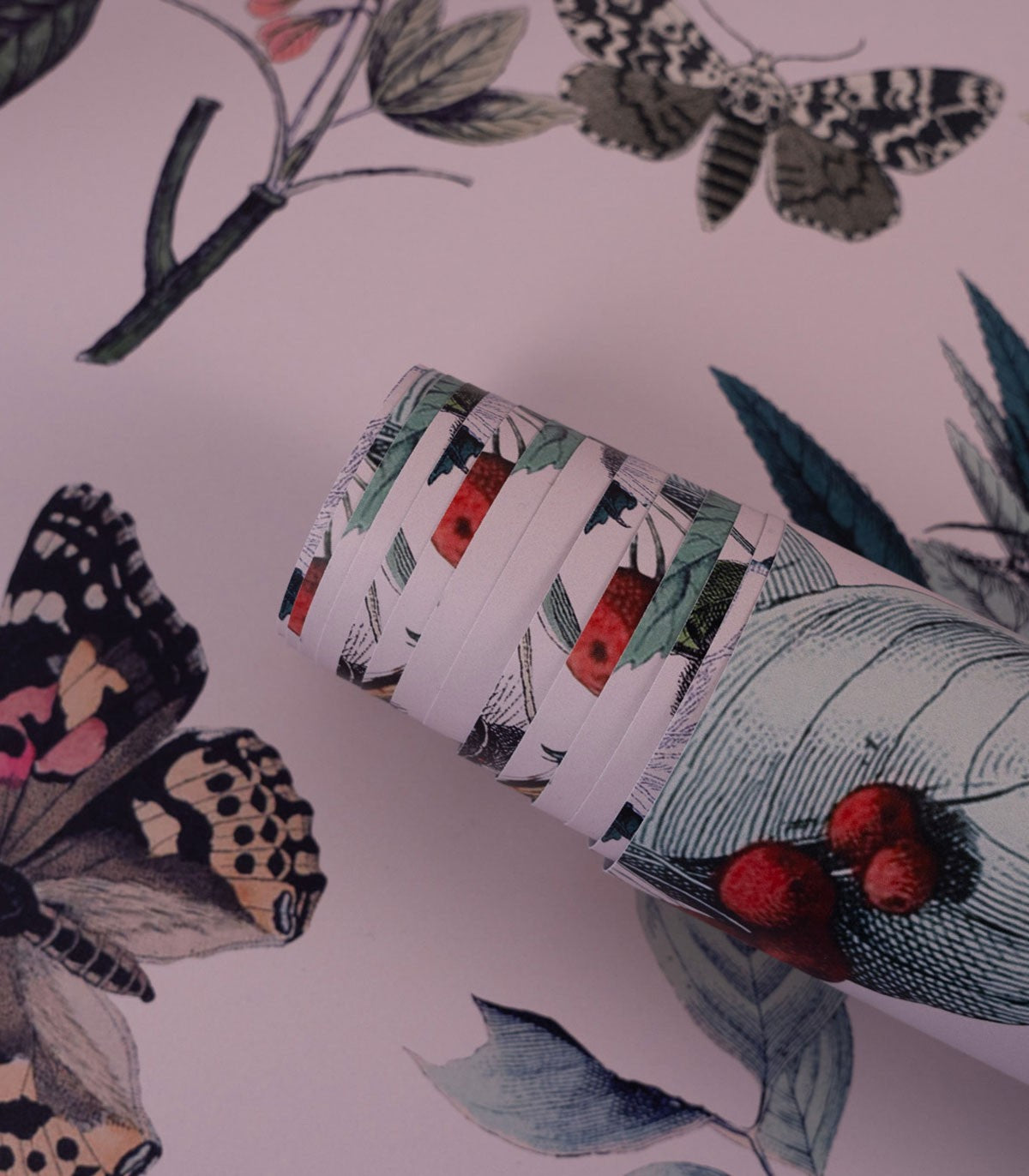 Tapeta Butterfly Rowan Pink