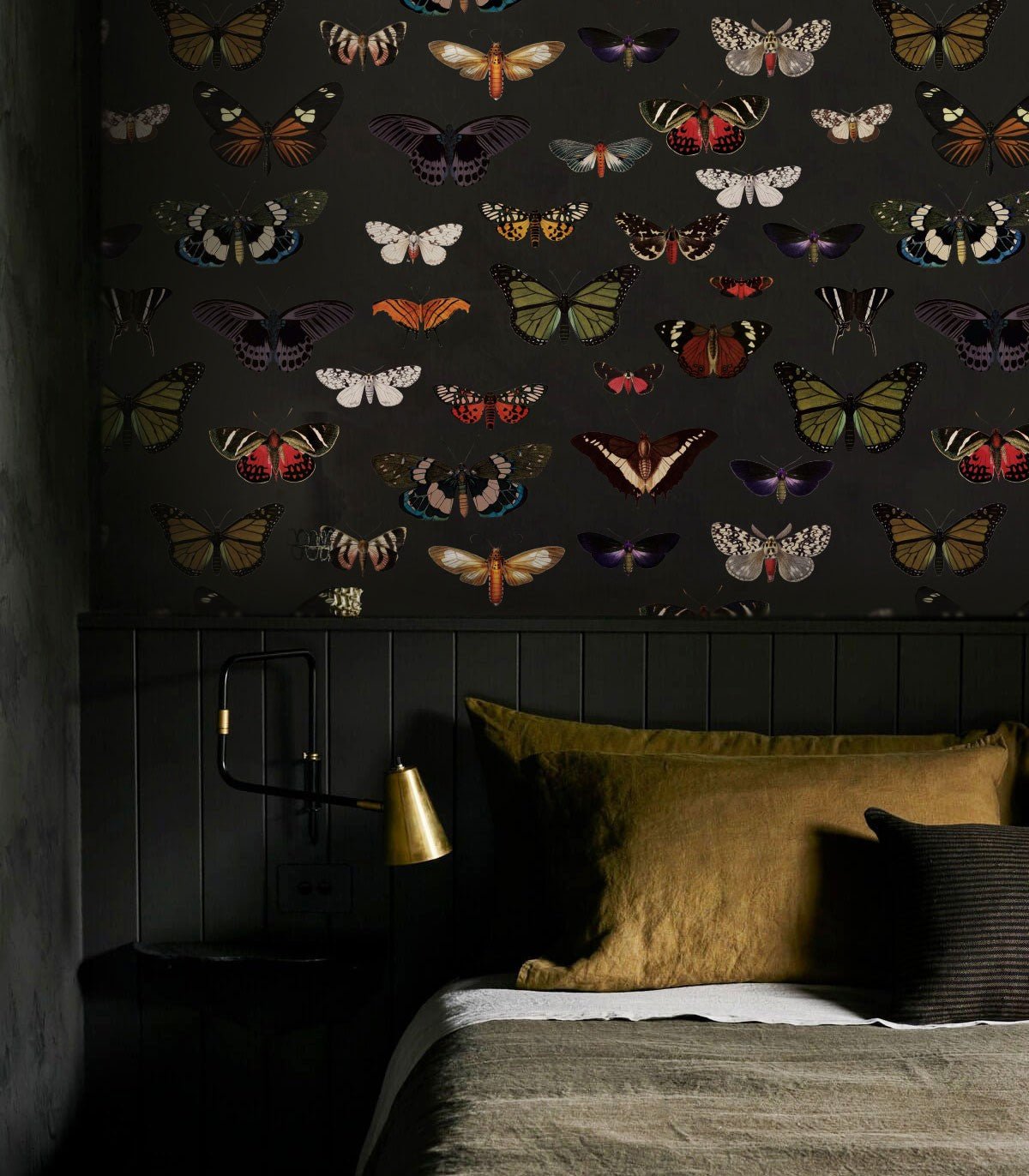 Tapeta Colorful Butterfly Green - Wallcolors®