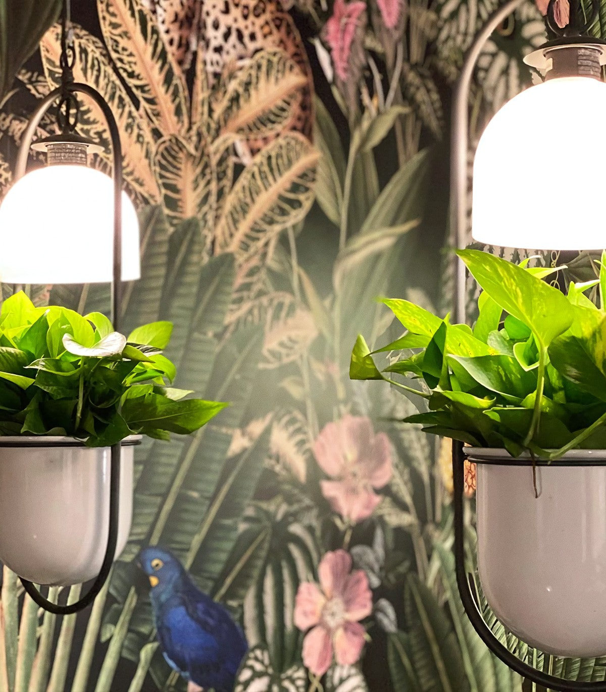 Dark Jungle Wallpaper