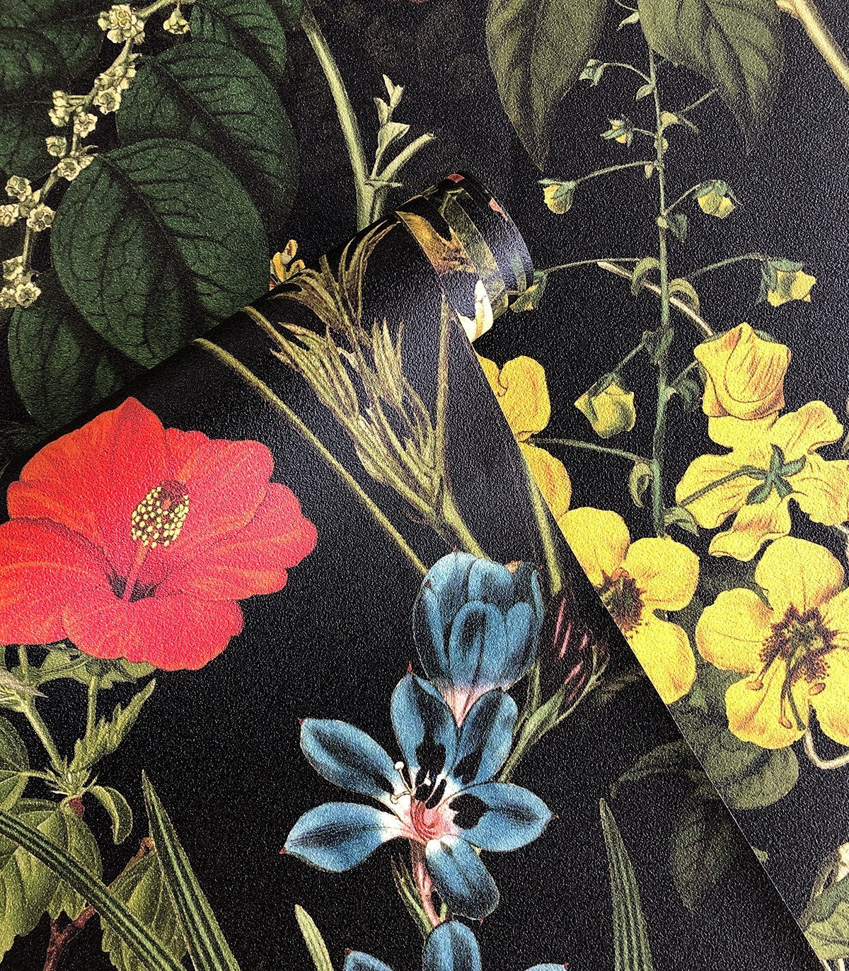 Dark Meadow Wallpaper