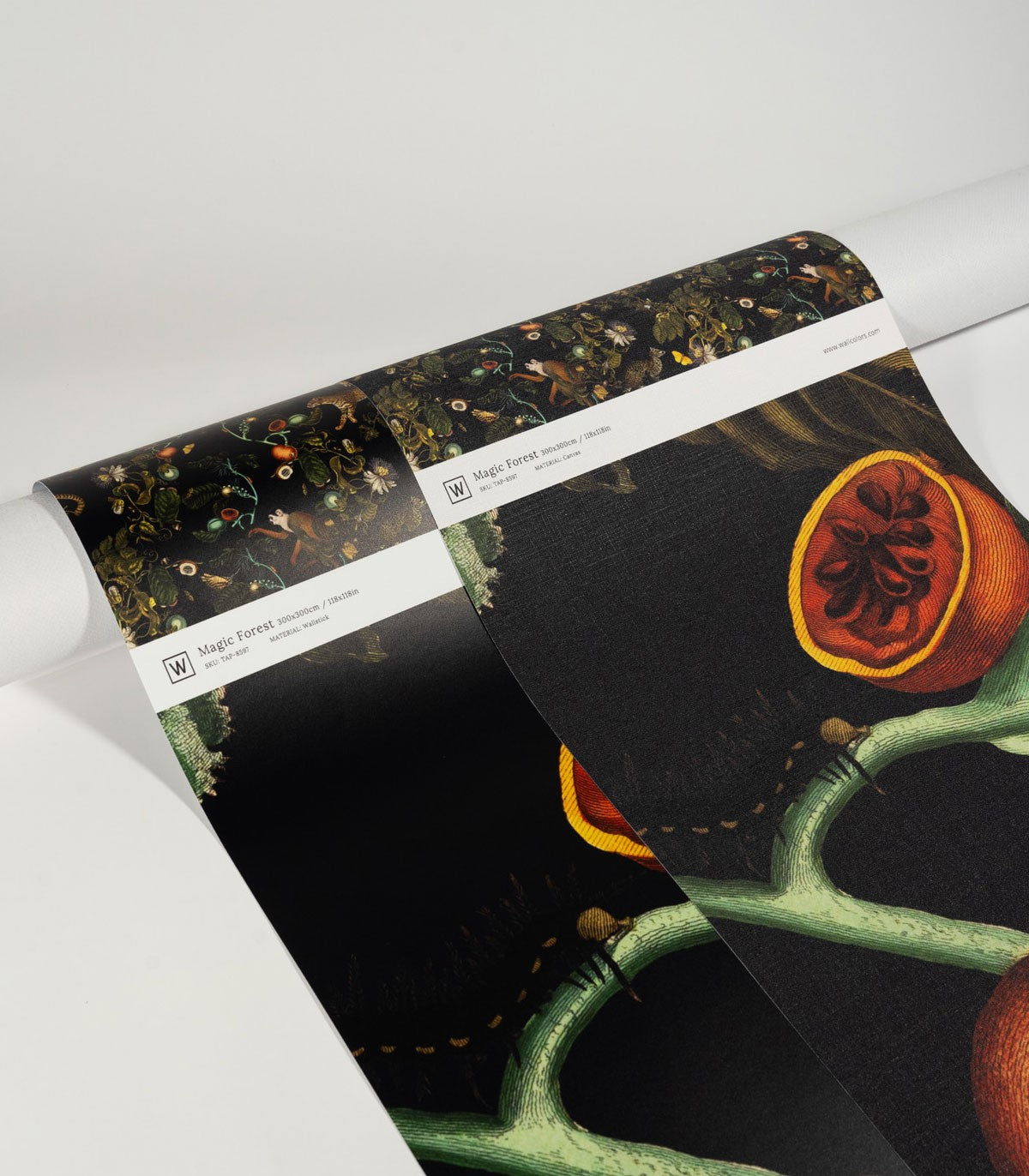 Magic Forest Wallpaper