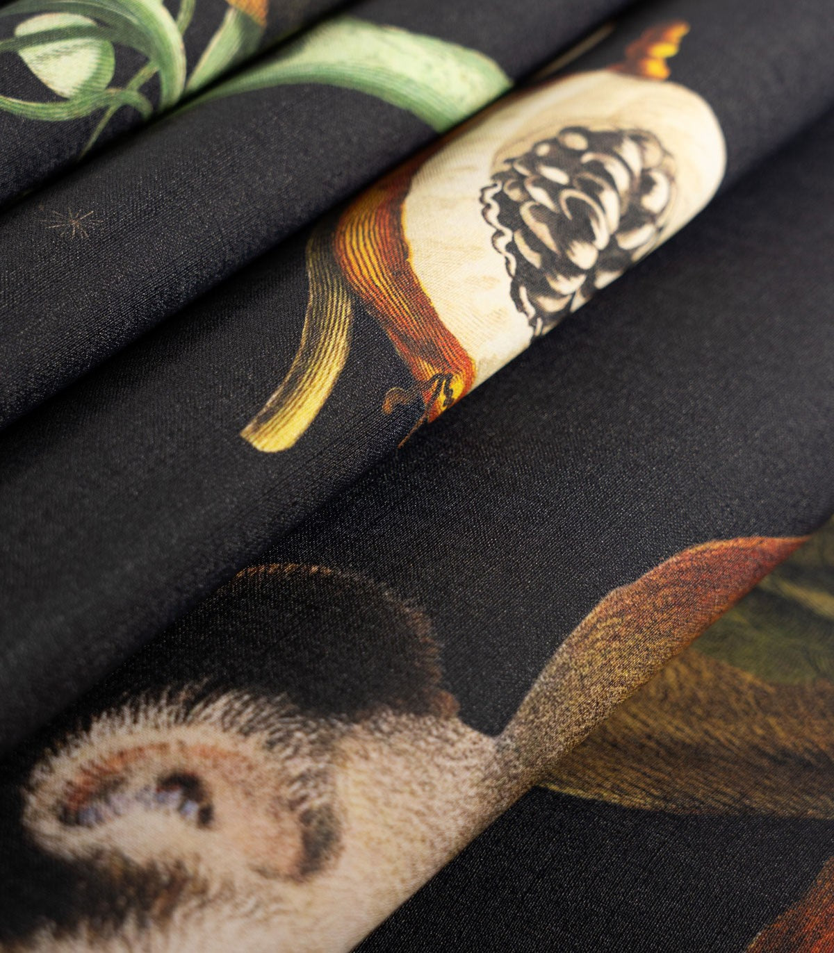 Magic Forest Wallpaper