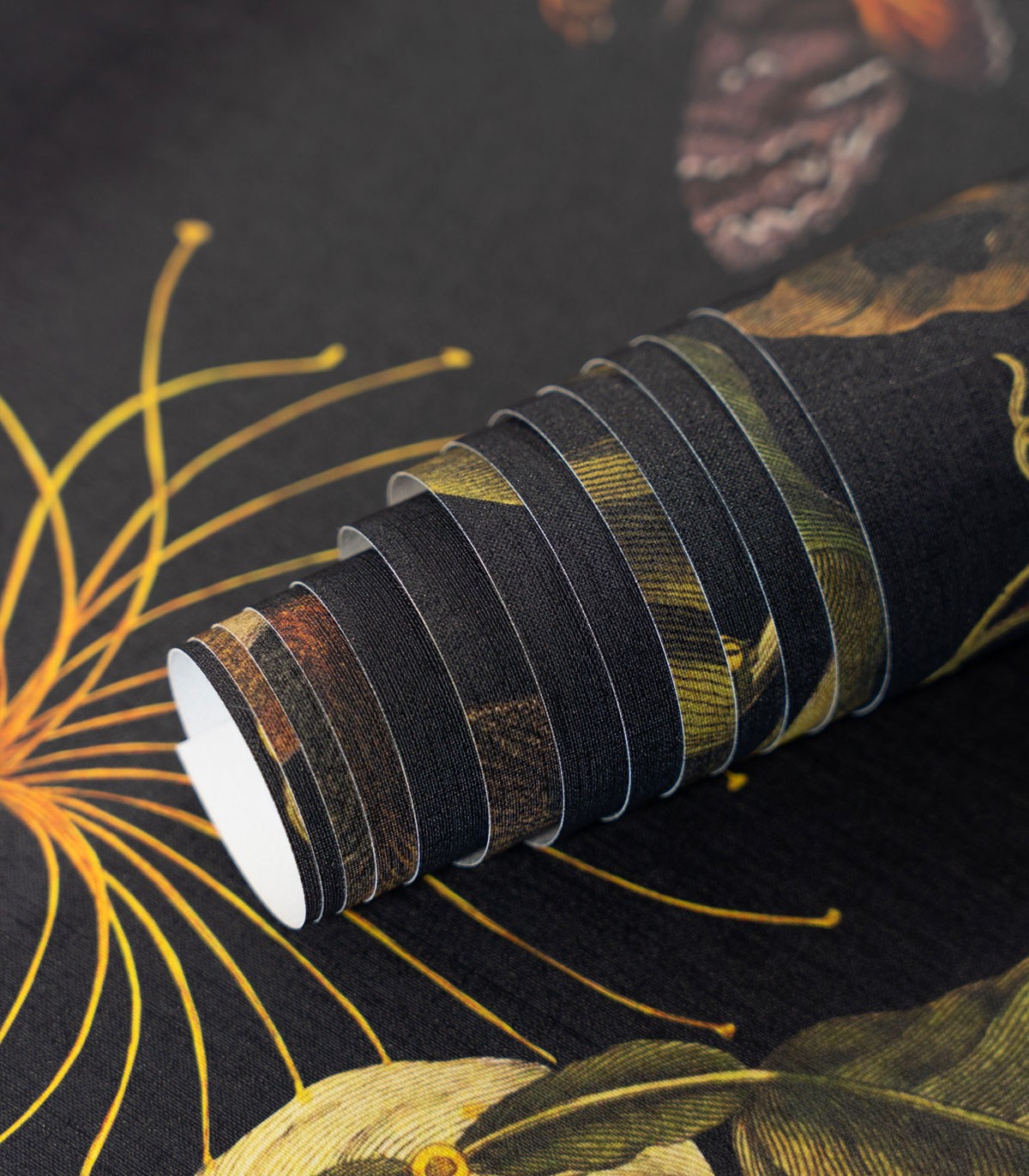 Magic Forest Wallpaper