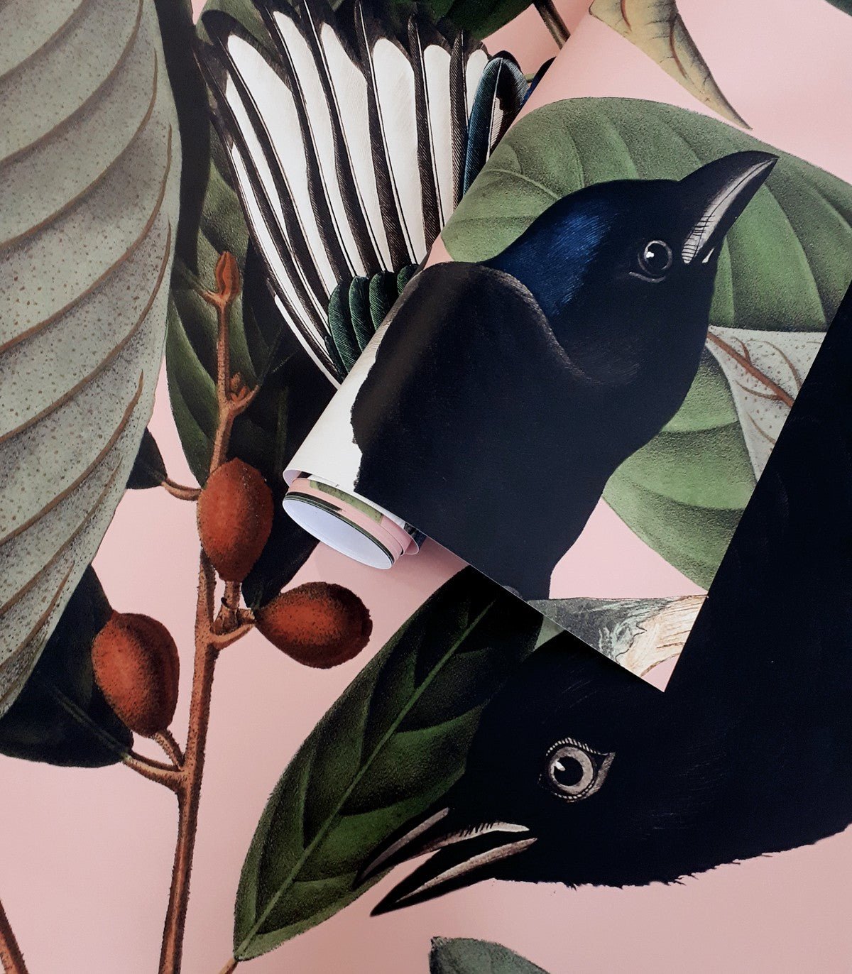 Tapeta Magpie Pink - Wallcolors®