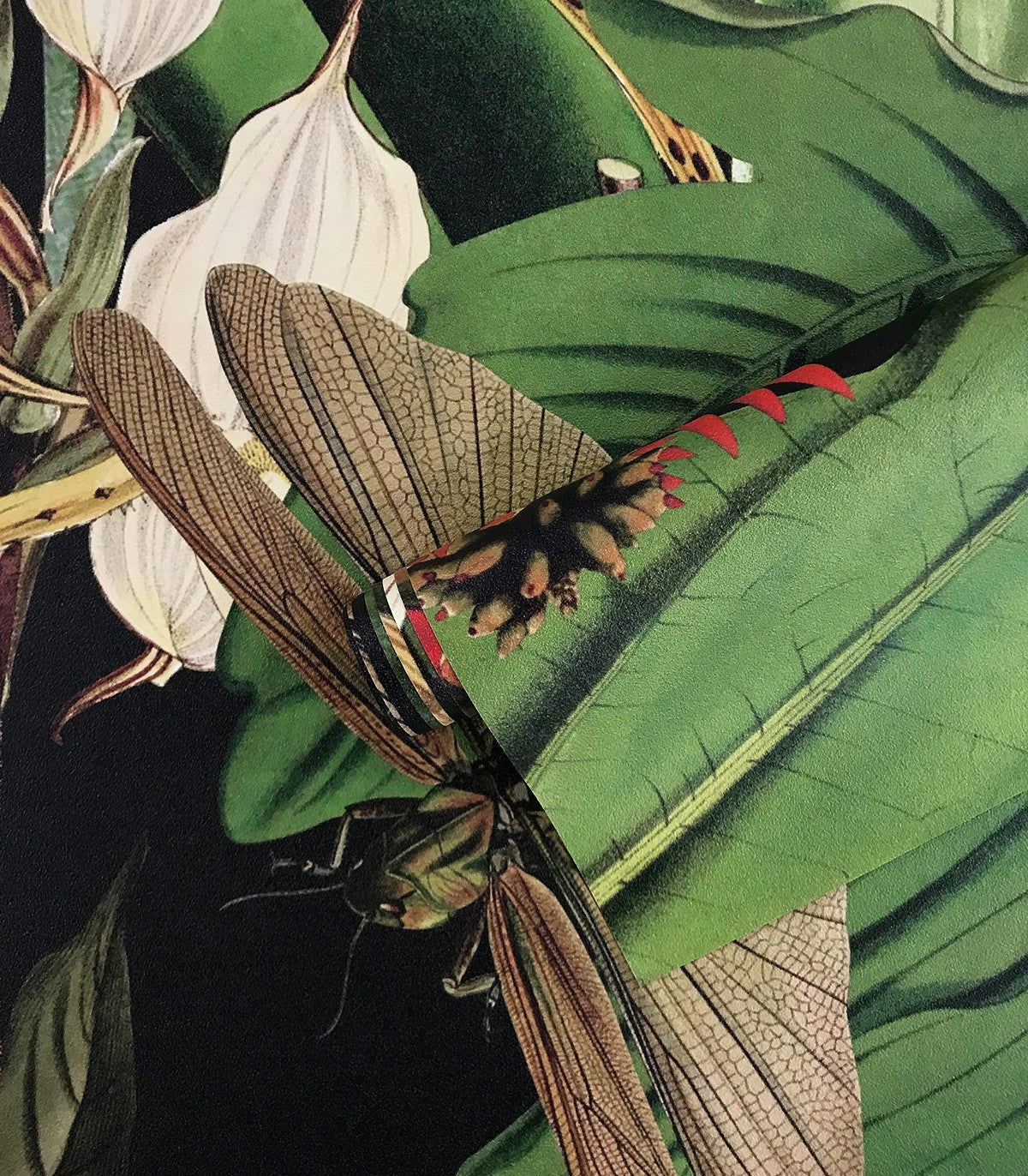 Tropical Composition Wallpaper