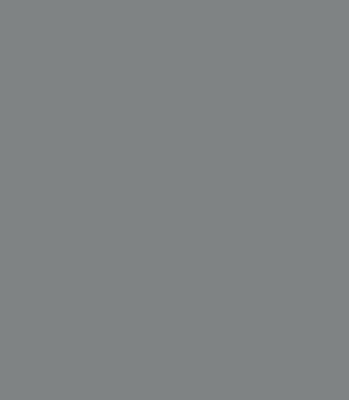 Whale Gray 2134 - 40 - Wallcolors®