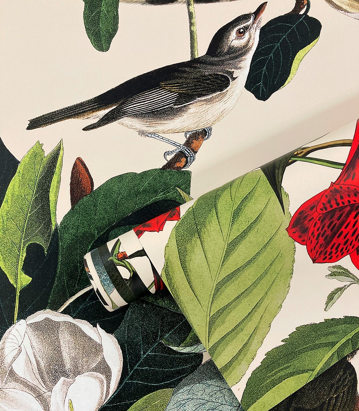 The Jungle Book Wallpaper - Wallcolors  - Exklusive Hintergrundbilder