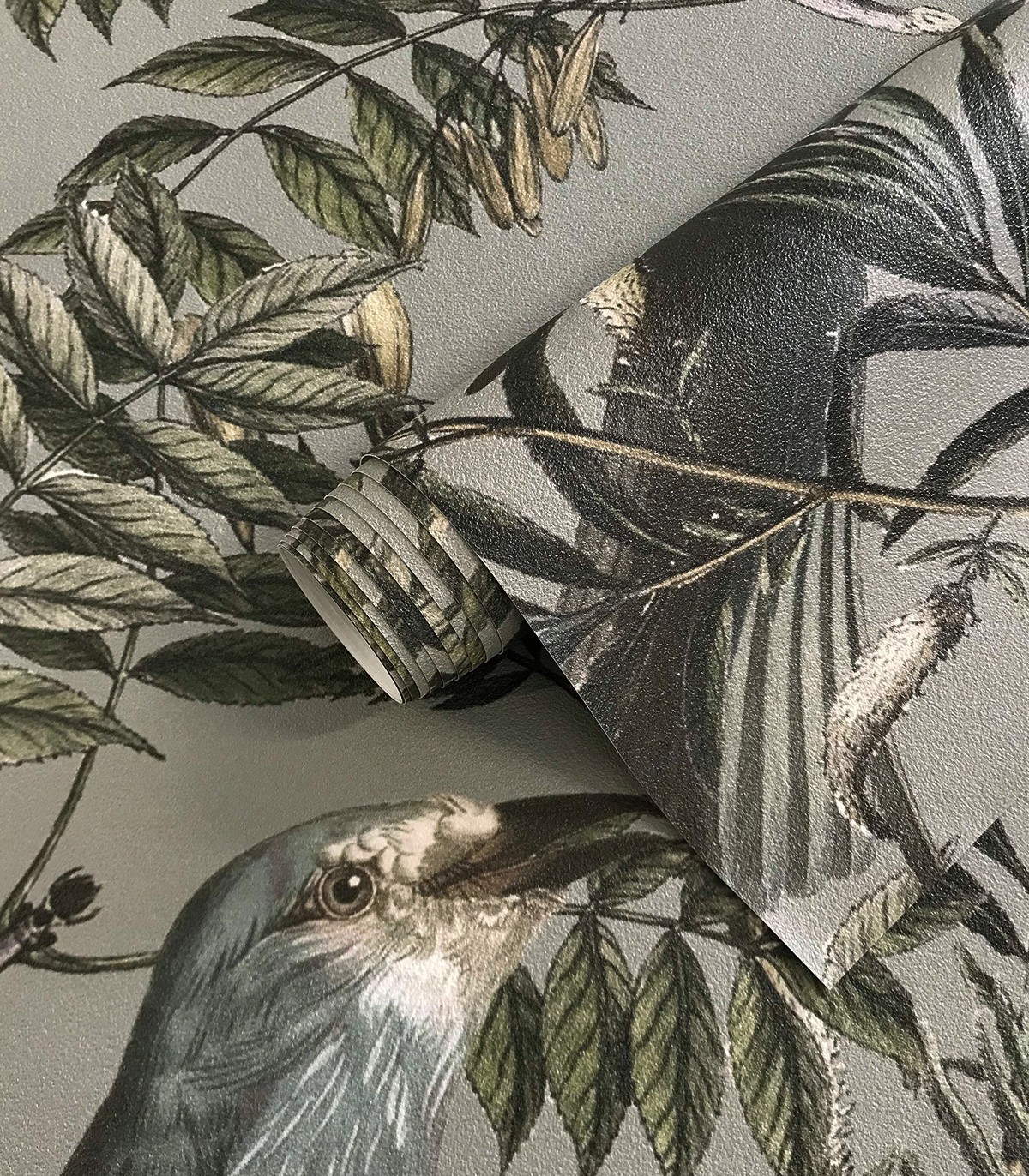 Birds in Garden Tapete - Wallcolors  - Exklusive Hintergrundbilder
