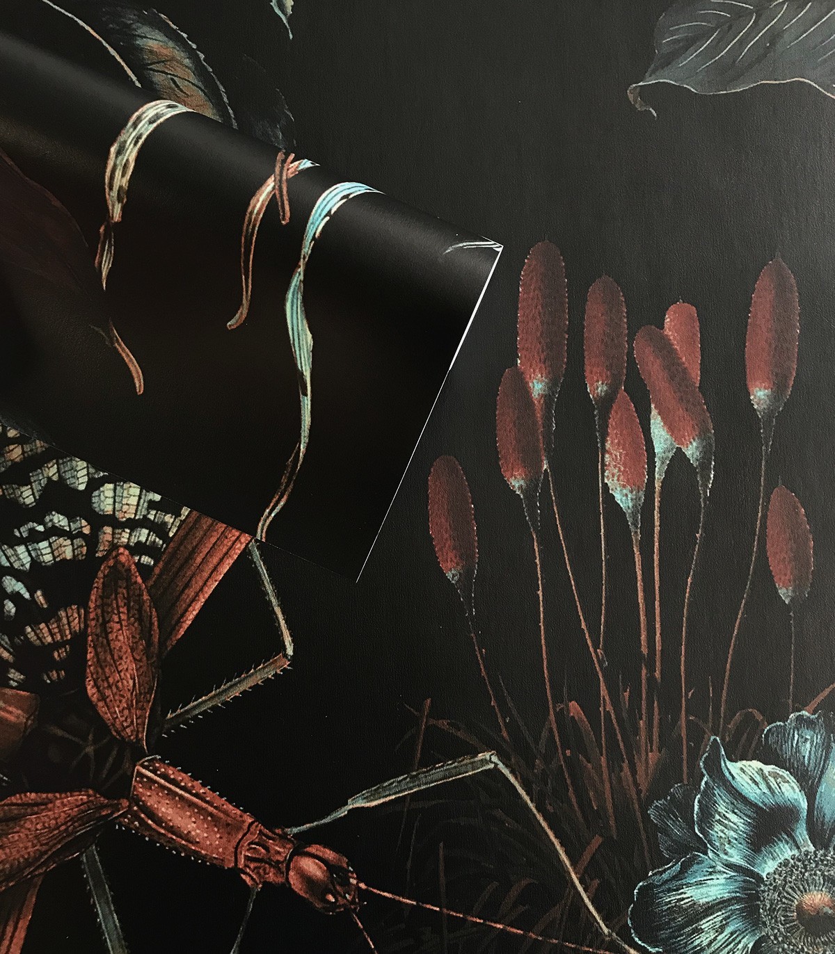Botanic black wallpaper - Wallcolors  - Exclusive Wallpapers