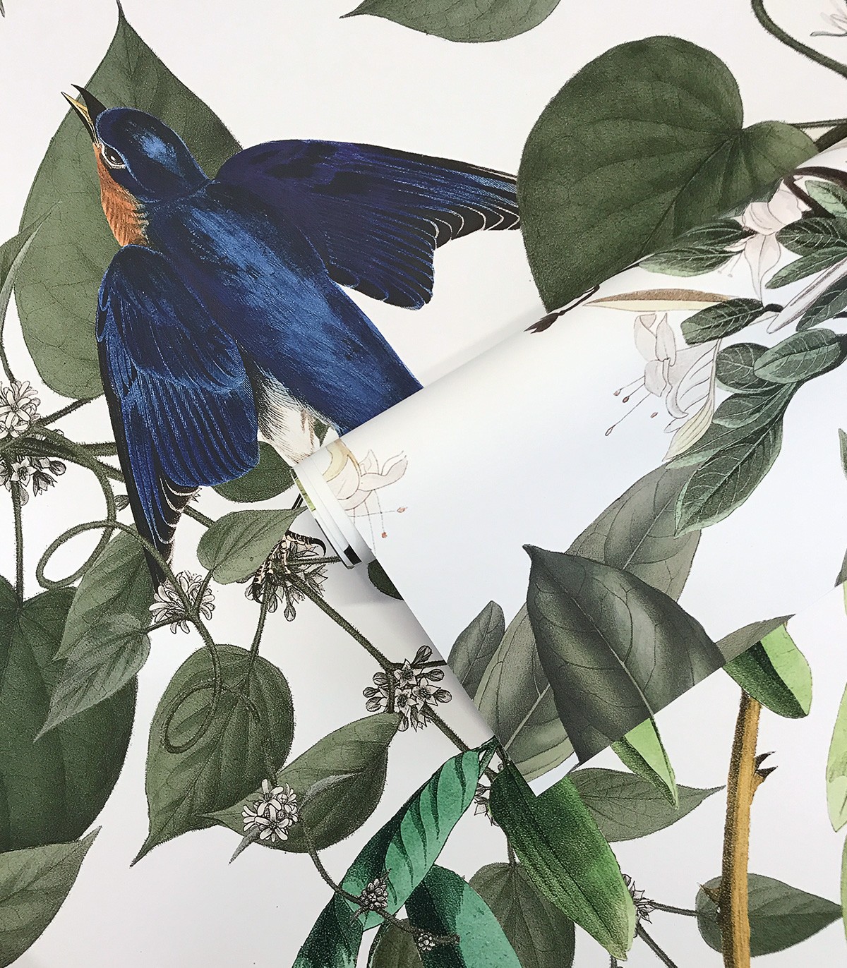 Tapeta Flying Birds - Wallcolors - Ekskluzywne Tapety