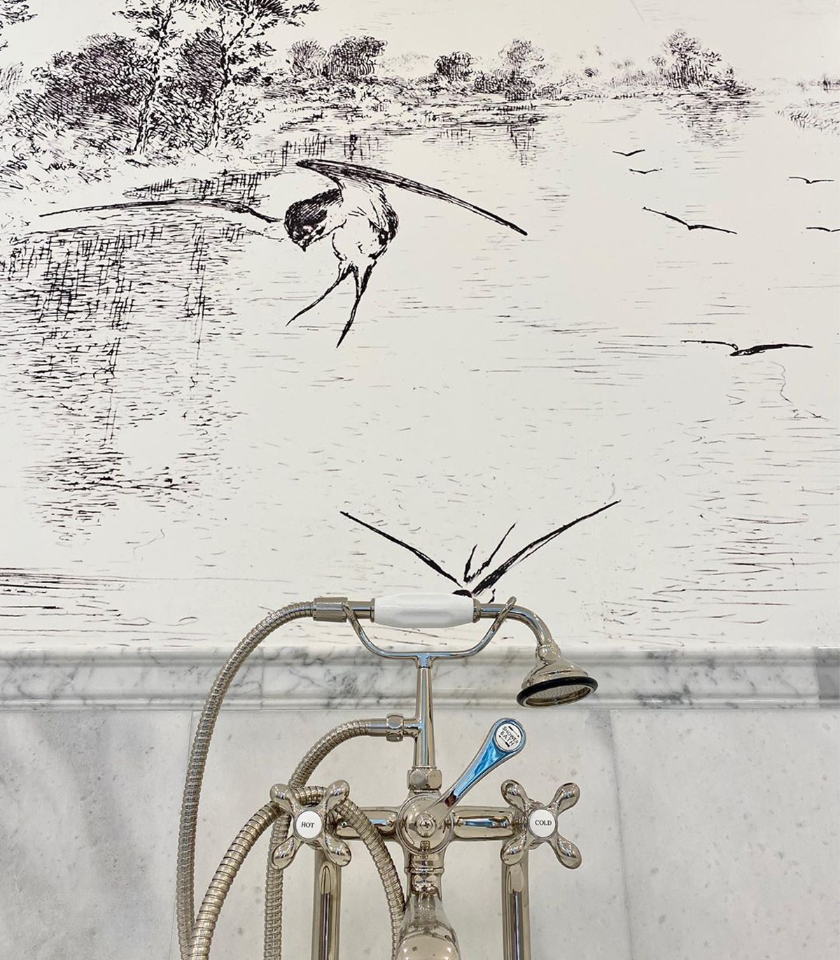 Swallow Tapete - Wallcolors  - Exklusive Hintergrundbilder