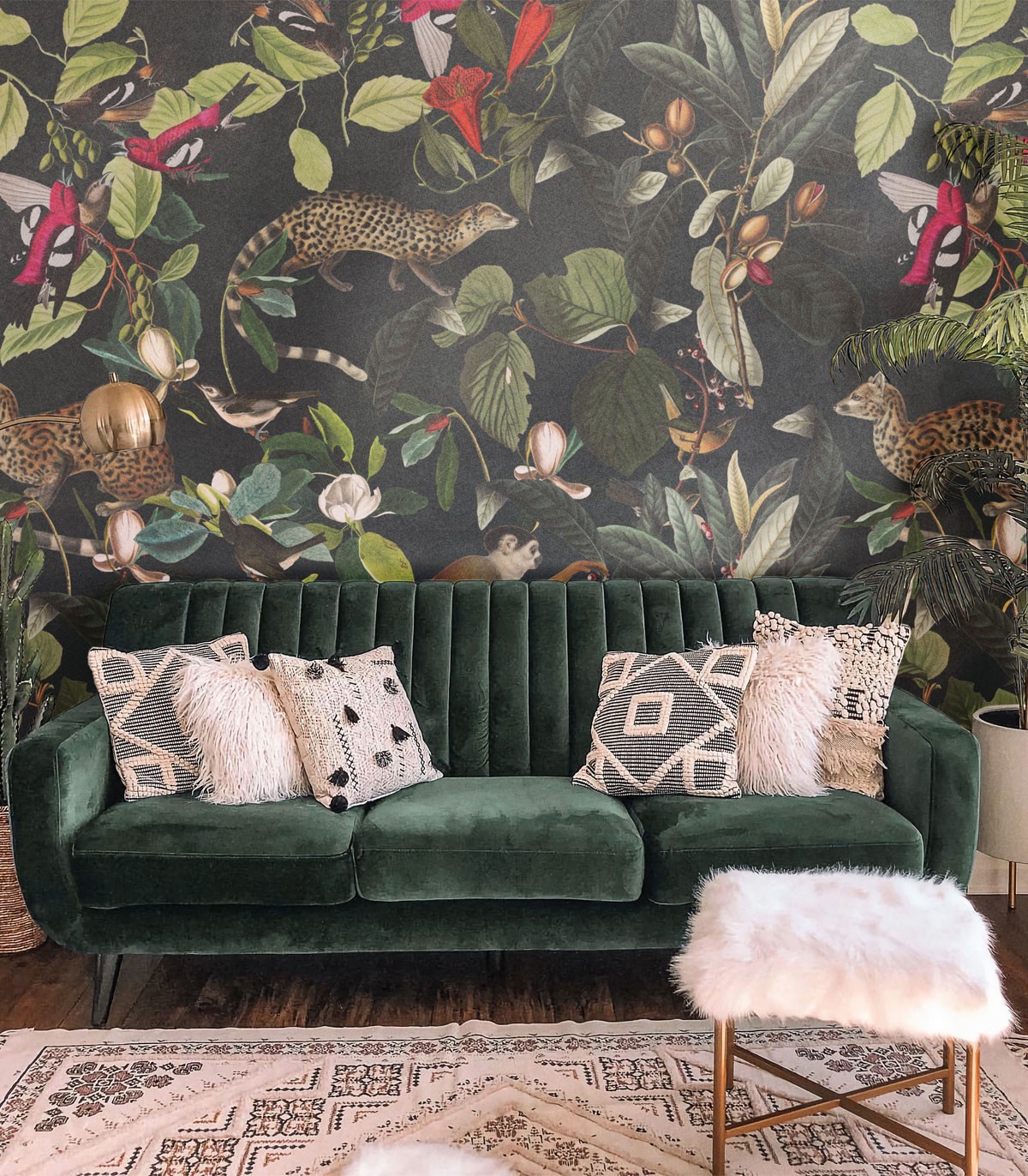 The Jungle Book Black Wallpaper - Wallcolors  - Exklusive Hintergrundbilder