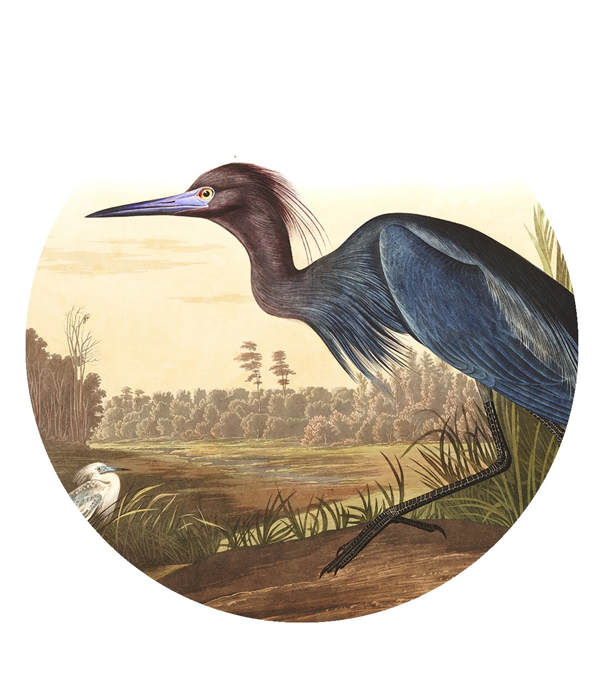 Dots Bird grass - Wallcolors  - Exclusive Wallpapers