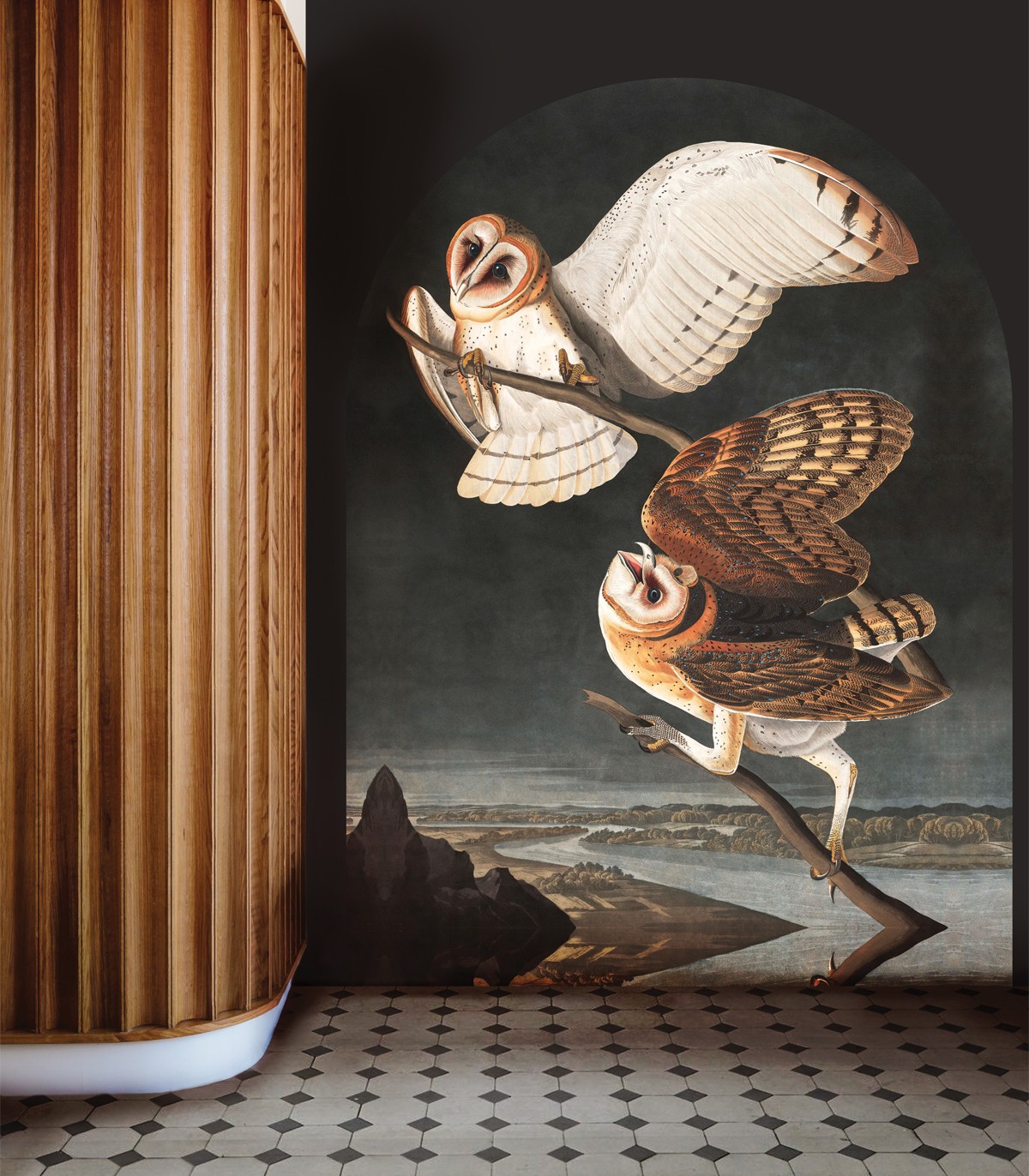 Tapeta Owls - Wallcolors - Ekskluzywne Tapety