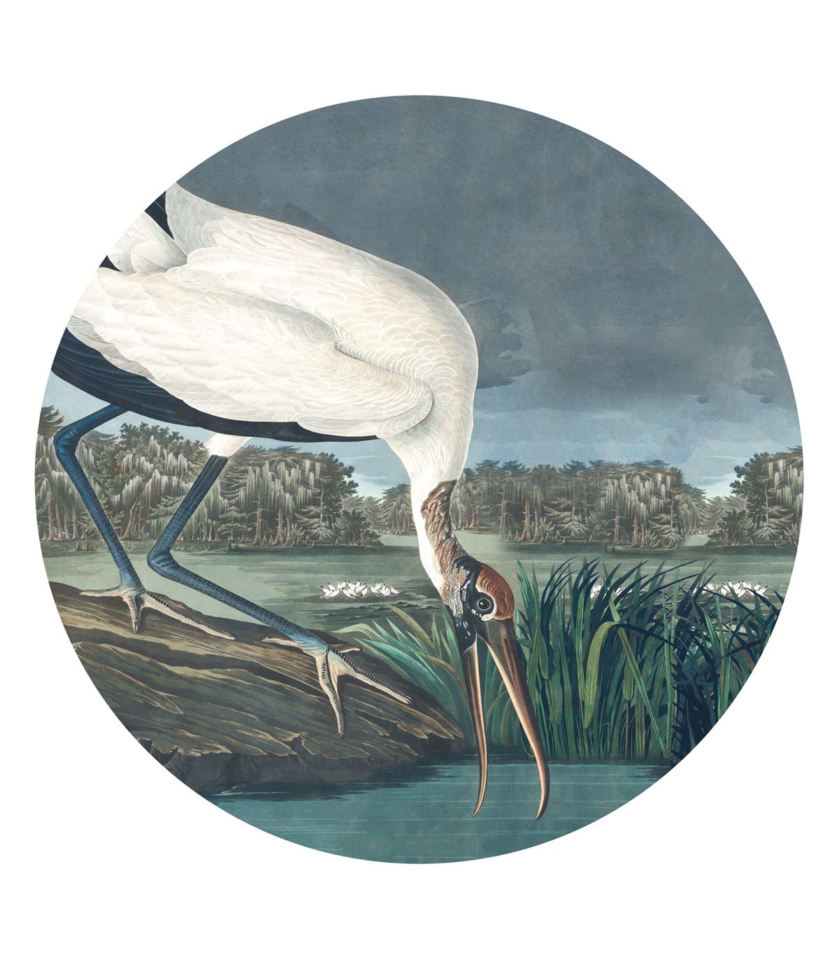 Dots Stork - Wallcolors  - Exklusive Hintergrundbilder