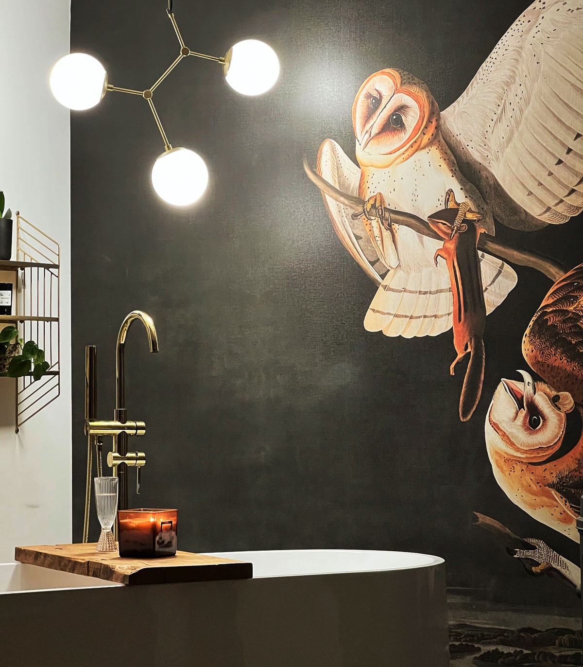 Owls wallpaper - Wallcolors  - Exclusive Wallpapers