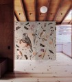Pink Owls wallpaper - Wallcolors  - Exclusive Wallpapers