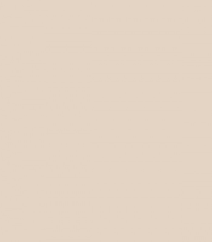 Brandy Cream OC-4 - Wallcolors  - Exklusive Hintergrundbilder