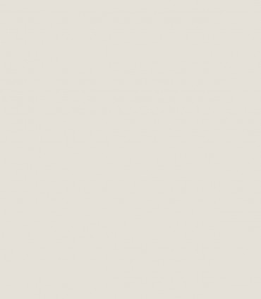 Classic Gray OC-23 - Wallcolors - Ekskluzywne Tapety