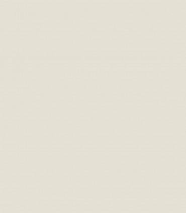 Gray Mist OC-30 - Wallcolors  - Exklusive Hintergrundbilder