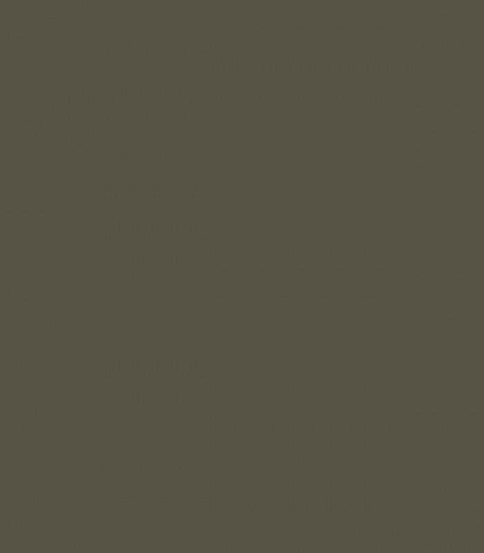 Dakota Woods Green 2139-20 - Wallcolors - Ekskluzywne Tapety