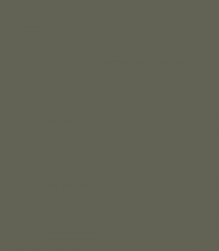 Dark Olive 2140-30 - Wallcolors  - Exklusive Hintergrundbilder