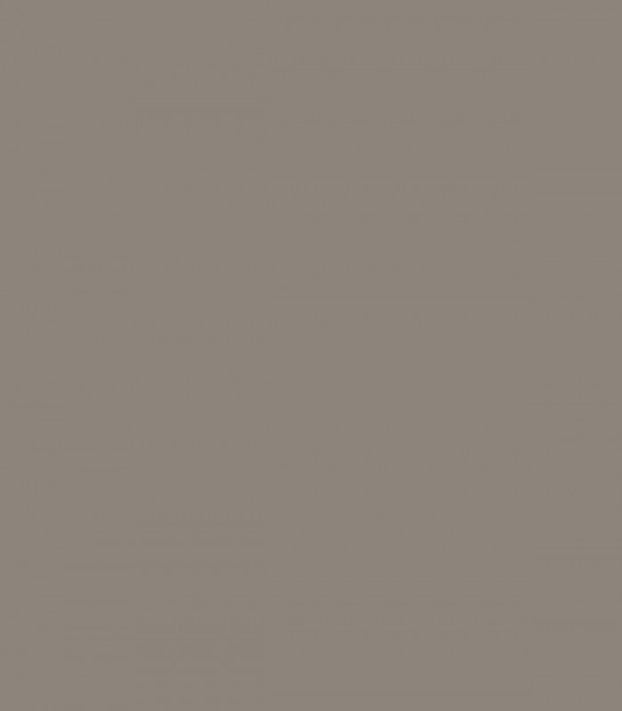 Taos Taupe 2111-40 - Wallcolors  - Exklusive Hintergrundbilder