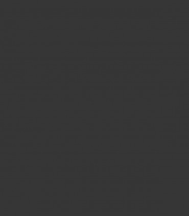 Universal Black 2118-10 - Wallcolors  - Exklusive Hintergrundbilder