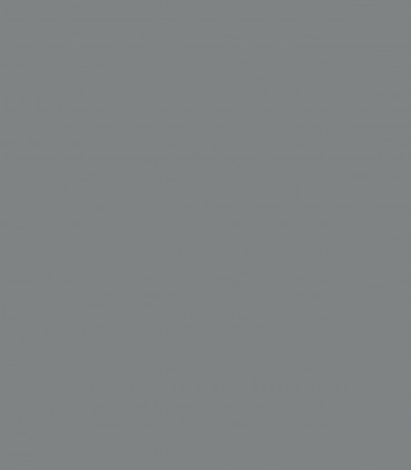 Whale Gray 2134-40 - Wallcolors - Ekskluzywne Tapety