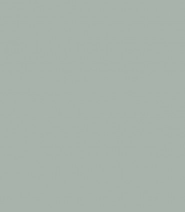 Raindance 1572 - Wallcolors - Ekskluzywne Tapety