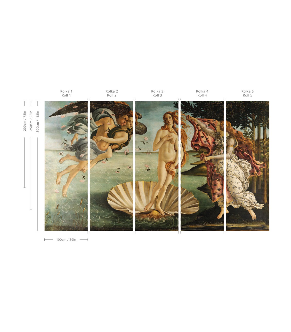 Birth of Venus tapete - Wallcolors  - Exklusive Hintergrundbilder