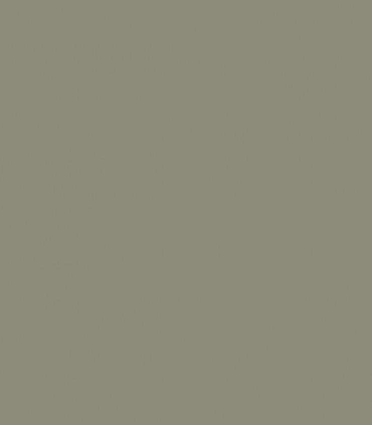 Antique Pewter 1560 - Wallcolors  - Exklusive Hintergrundbilder