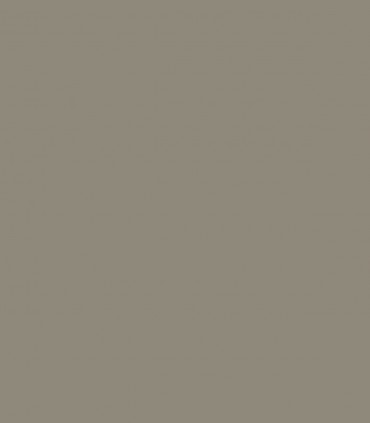 Squirrel Tail 1476 - Wallcolors  - Exklusive Hintergrundbilder