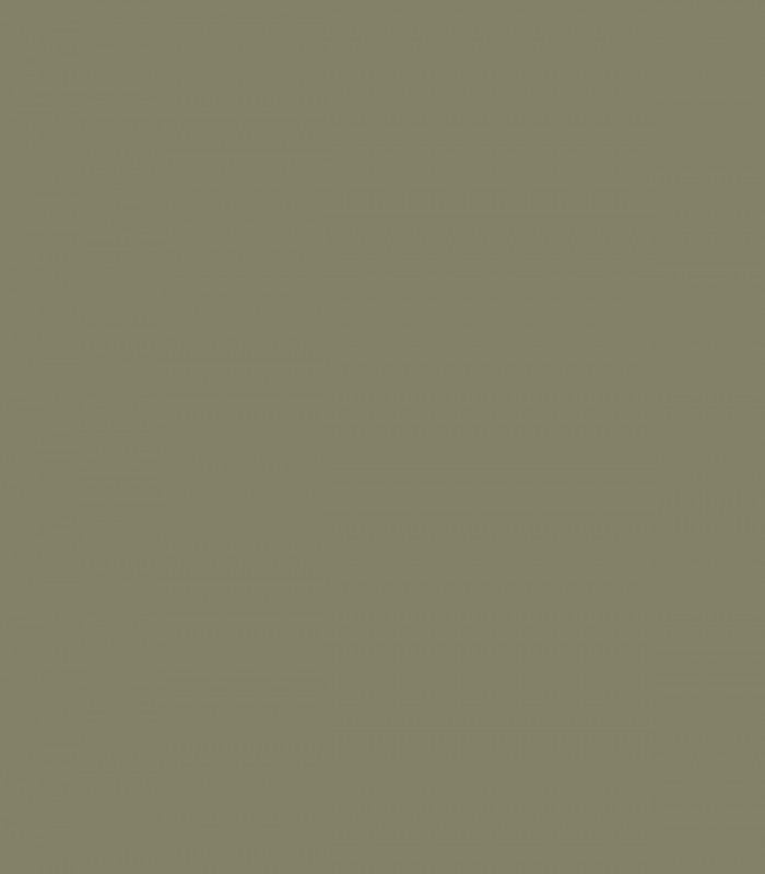 Tate Olive HC-112 - Wallcolors  - Exklusive Hintergrundbilder