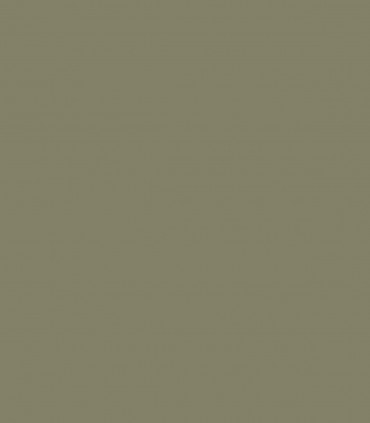 Tate Olive HC-112 - Wallcolors  - Exklusive Hintergrundbilder