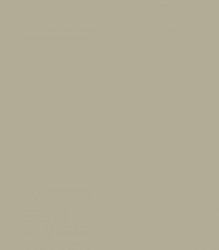 Nantucket Gray HC-111 - Wallcolors  - Exklusive Hintergrundbilder