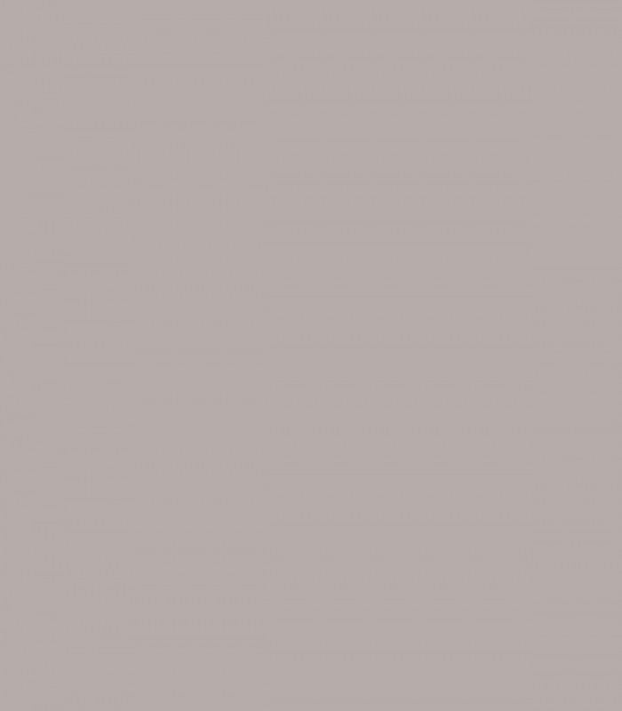 Elephant Gray 2109-50 - Wallcolors - Ekskluzywne Tapety