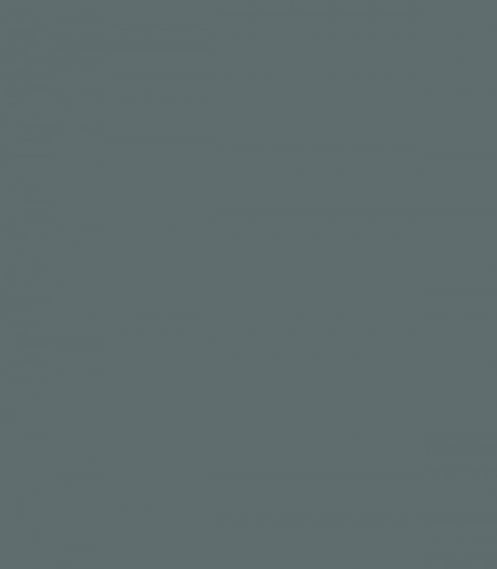 Knoxville Gray HC-160 - Wallcolors - Ekskluzywne Tapety