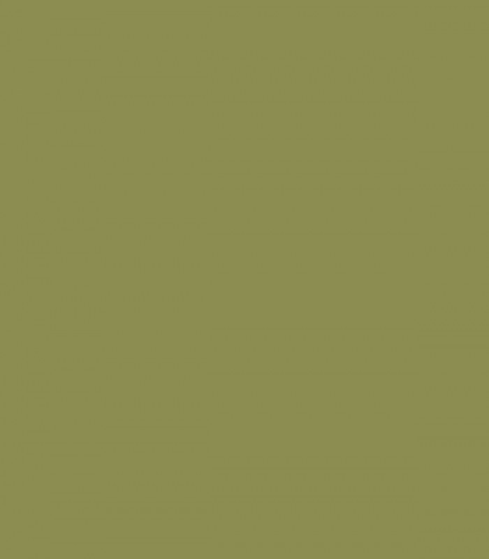 Terrapin Green 2145-20 - Wallcolors  - Exclusive Wallpapers