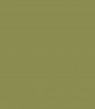 Terrapin Green 2145-20 - Wallcolors  - Exklusive Hintergrundbilder