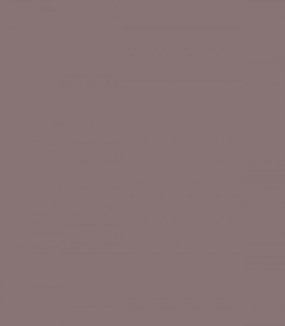 Cinnamon Slate 2113-40 - Wallcolors  - Exklusive Hintergrundbilder