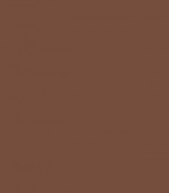 Leather Saddle Brown 2100-20 - Wallcolors  - Exklusive Hintergrundbilder